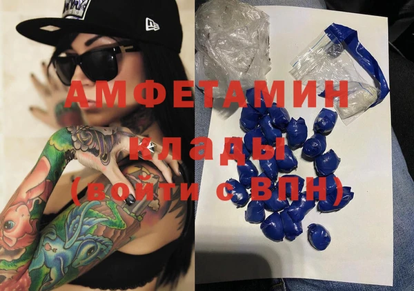 прущий лед Алзамай