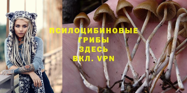 прущий лед Алзамай