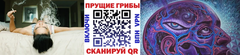 где купить наркотик  Челябинск  MEGA как зайти  Галлюциногенные грибы Psilocybe 